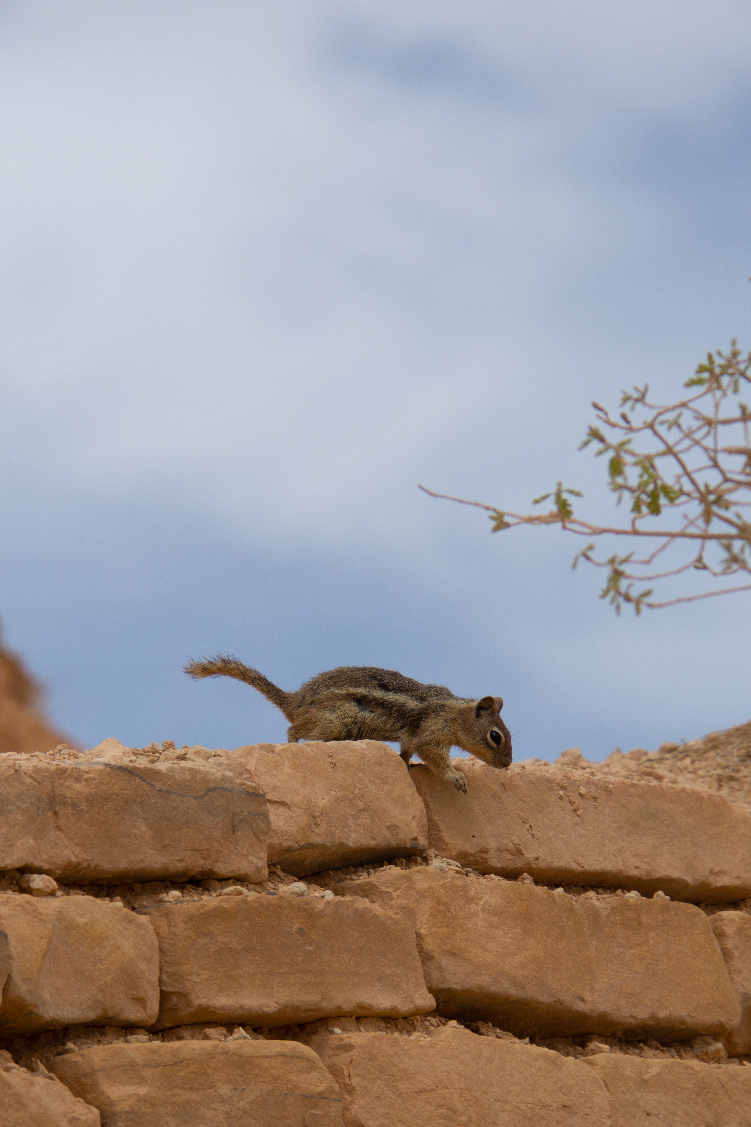 US National Parks 2022 6